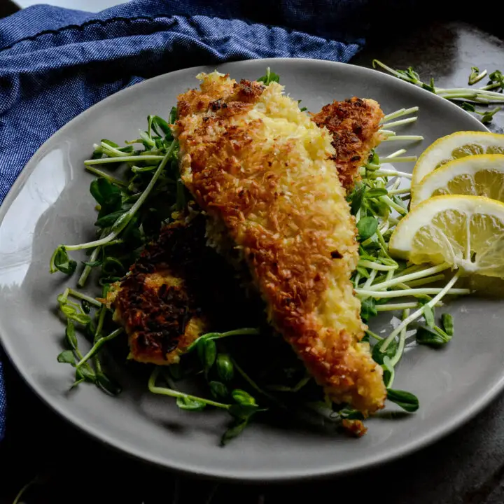 Coconut Crusted Chicken Tenders with Honey Mustard Sauce