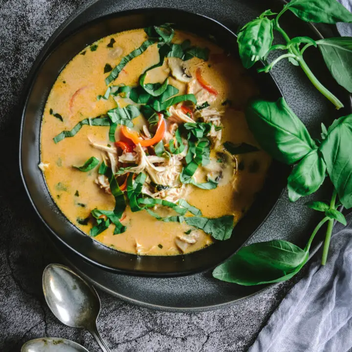 Low-Carb Thai Coconut Chicken Soup with Lemongrass in bowl with basil, 2 spoons and napkin