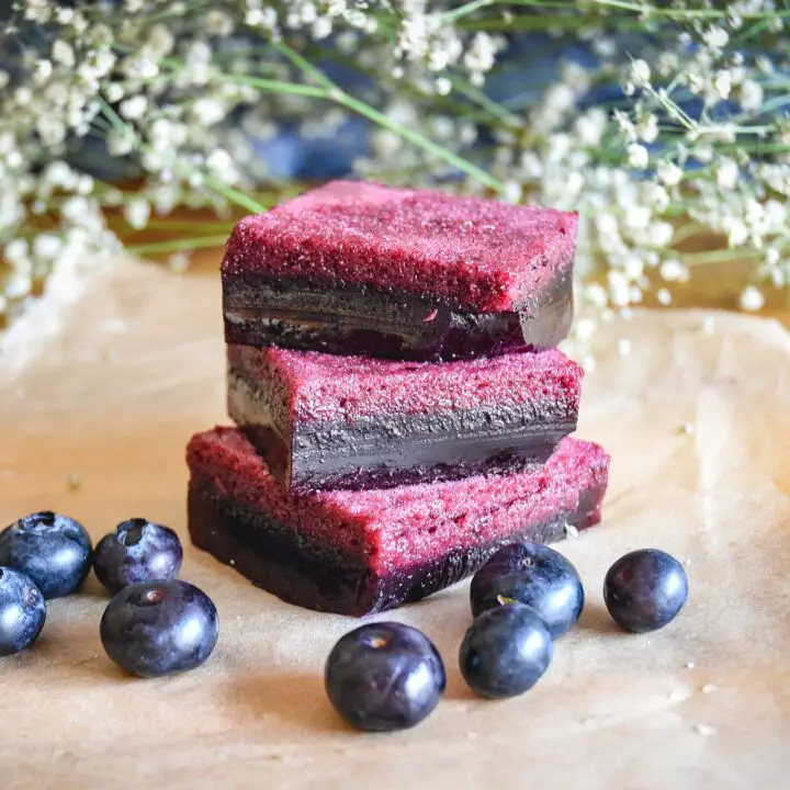 Easy And Healthy Real Gelatin Blueberry Jello Recipe