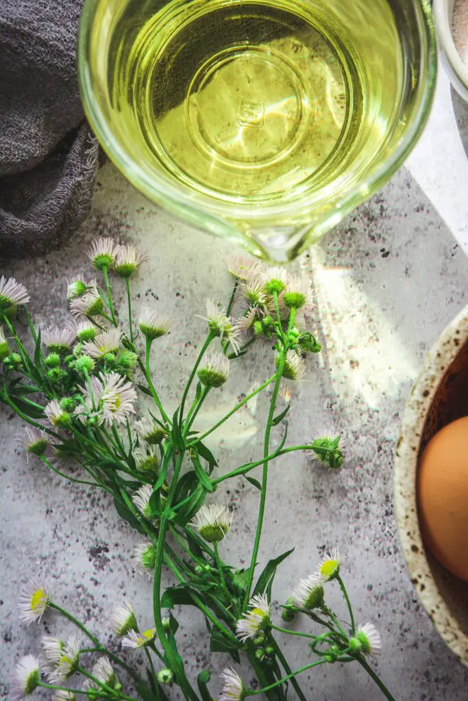 Flowers and sunlight reflecting through the container of olive oil