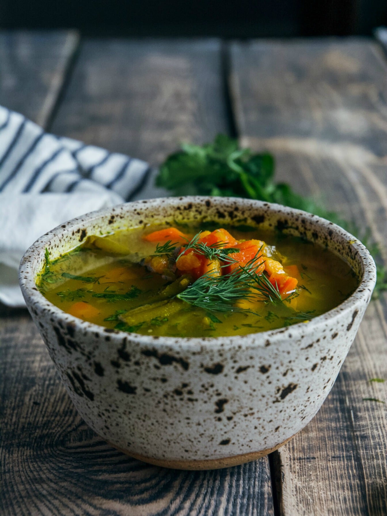 Bone Broth Vegetable Soup in bowl