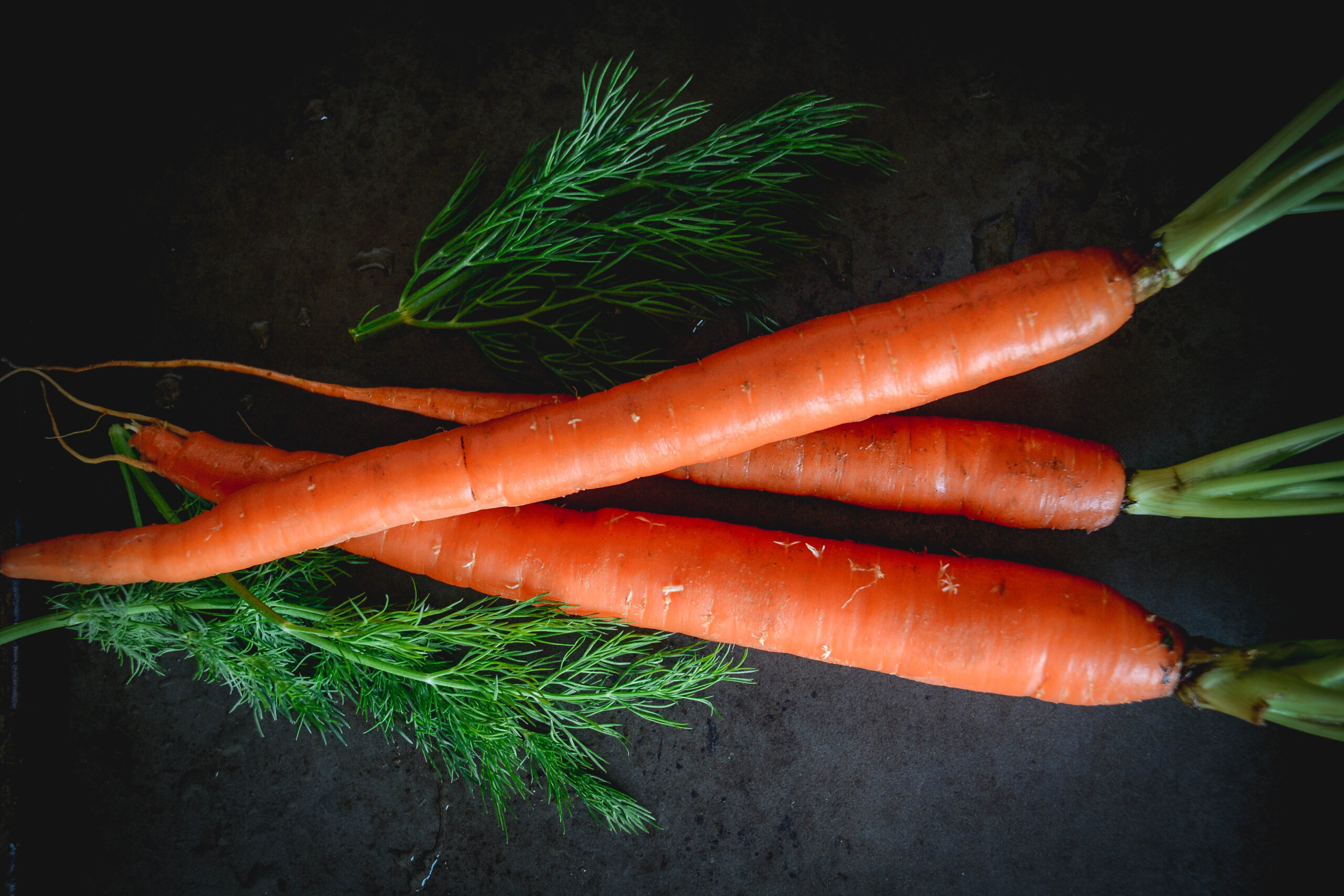 whole carrots on tray with dill sprigs