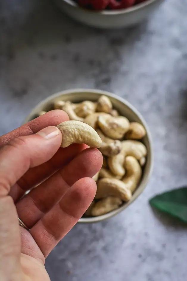 cashew in hand