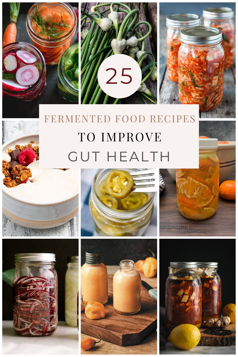 Fermented foods for overall wellbeing