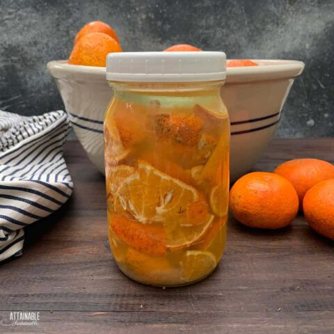 25 Fermented Food Recipes for Gut Health - Calm Eats