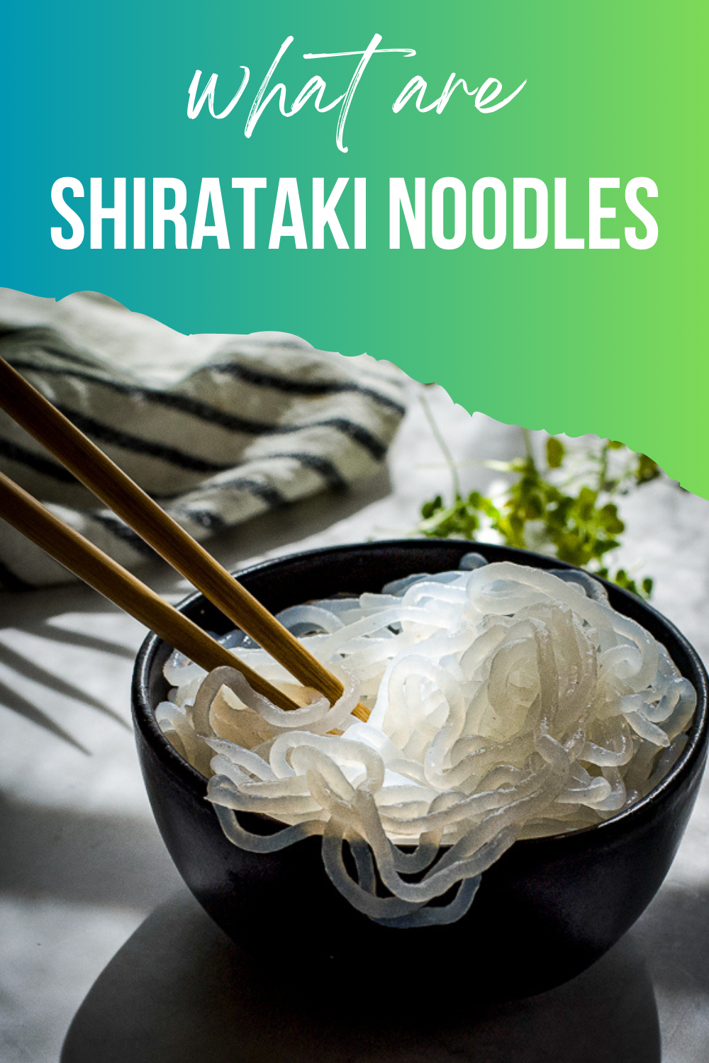 What Are Shirataki Noodles Calm Eats