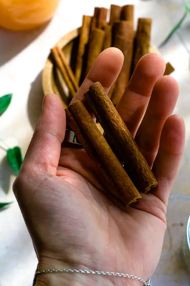 hand holding cinnamon sticks