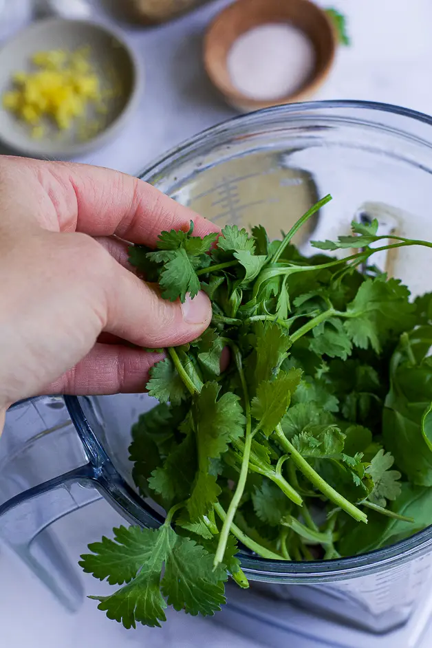 green herbs being put into a blender