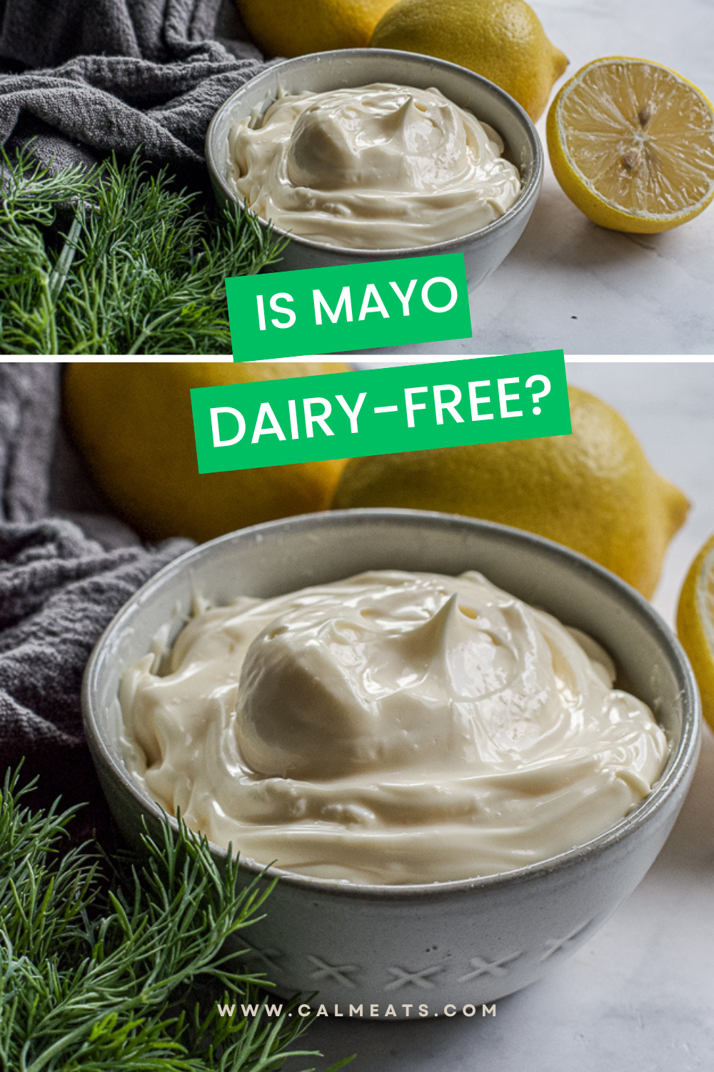 Is Mayo Dairy-Free?