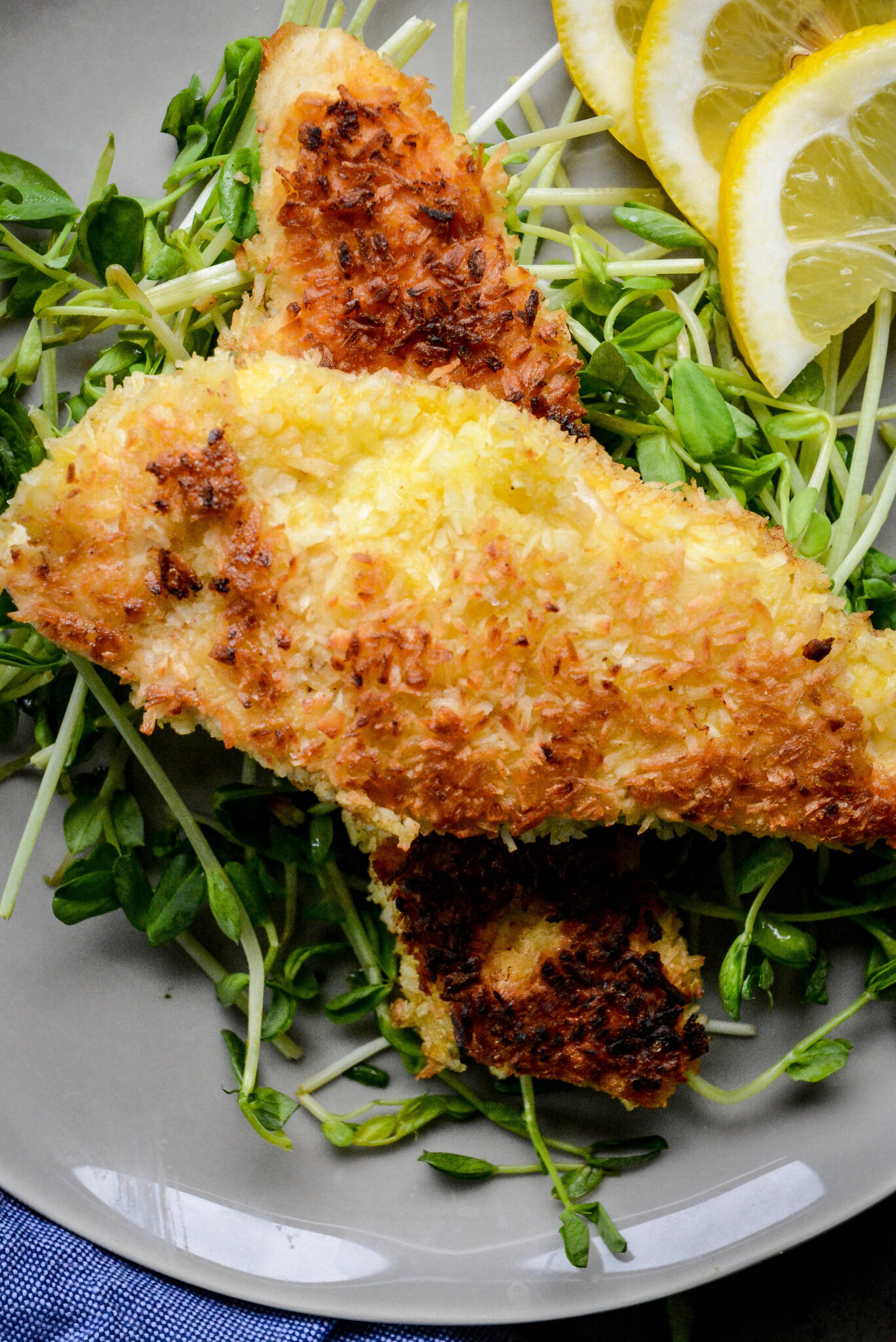 Coconut Crusted Chicken Tenders With Honey Mustard Sauce - Calm Eats